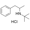 N-t-Butyl Amphetamine HCl