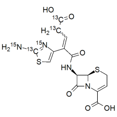 Ceftibuten Labeled 13C3,15N2  (Mixture of geometrical isomers)