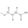 Monomethyl Fumarate Labeled 13C4
